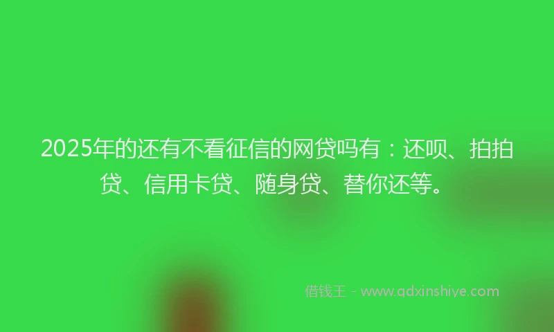 2025年的还有不看征信的网贷吗有：还呗、拍拍贷、信用卡贷、随身贷、替你还等。