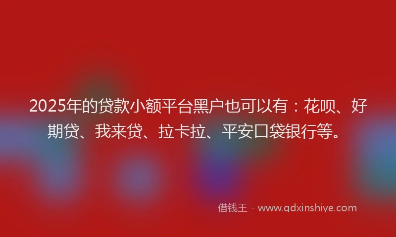 2025年的贷款小额平台黑户也可以有：花呗、好期贷、我来贷、拉卡拉、平安口袋银行等。