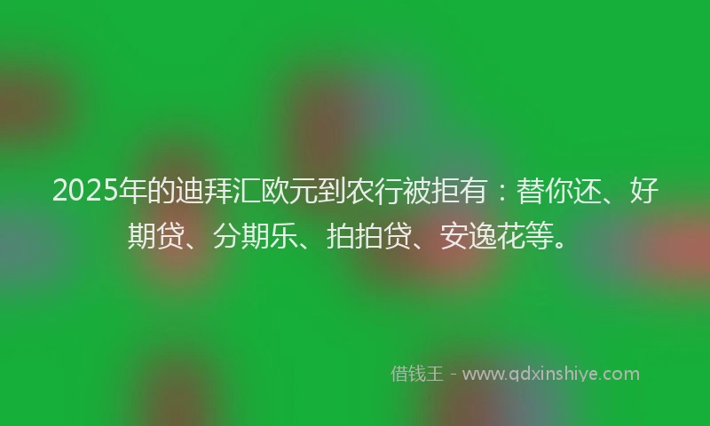 2025年的迪拜汇欧元到农行被拒有：替你还、好期贷、分期乐、拍拍贷、安逸花等。