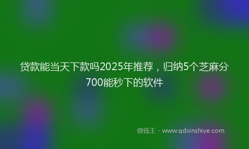 贷款能当天下款吗2025年推荐，归纳5个芝麻分700能秒下的软件