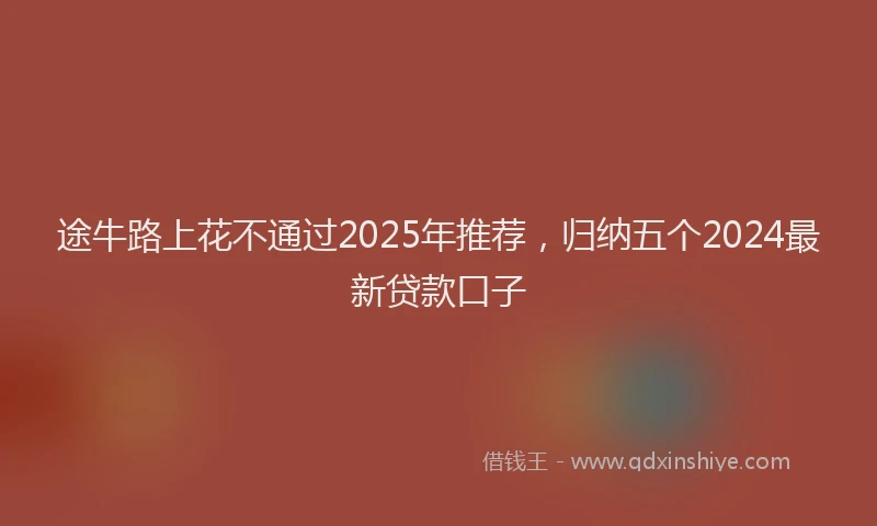 途牛路上花不通过2025年推荐，归纳五个2024最新贷款口子