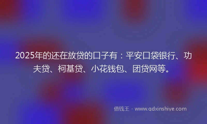 2025年的还在放贷的口子有：平安口袋银行、功夫贷、柯基贷、小花钱包、团贷网等。