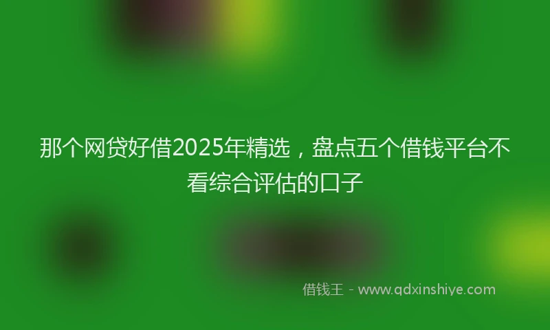 那个网贷好借2025年精选，盘点五个借钱平台不看综合评估的口子