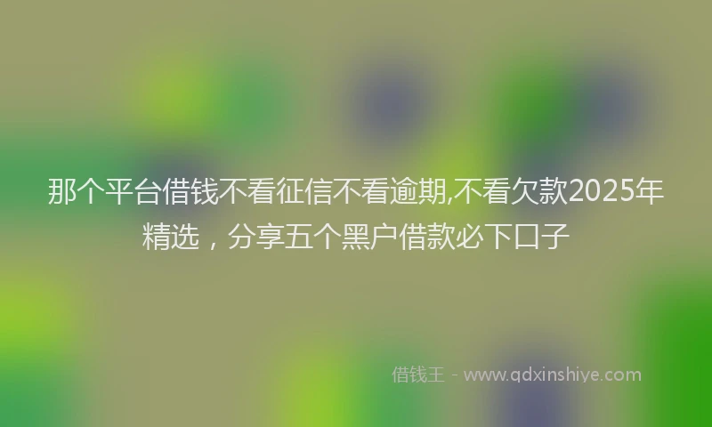 那个平台借钱不看征信不看逾期,不看欠款2025年精选，分享五个黑户借款必下口子