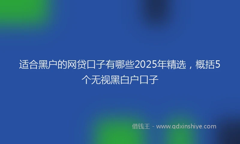 适合黑户的网贷口子有哪些2025年精选，概括5个无视黑白户口子