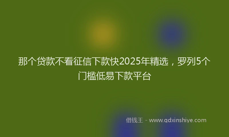 那个贷款不看征信下款快2025年精选，罗列5个门槛低易下款平台