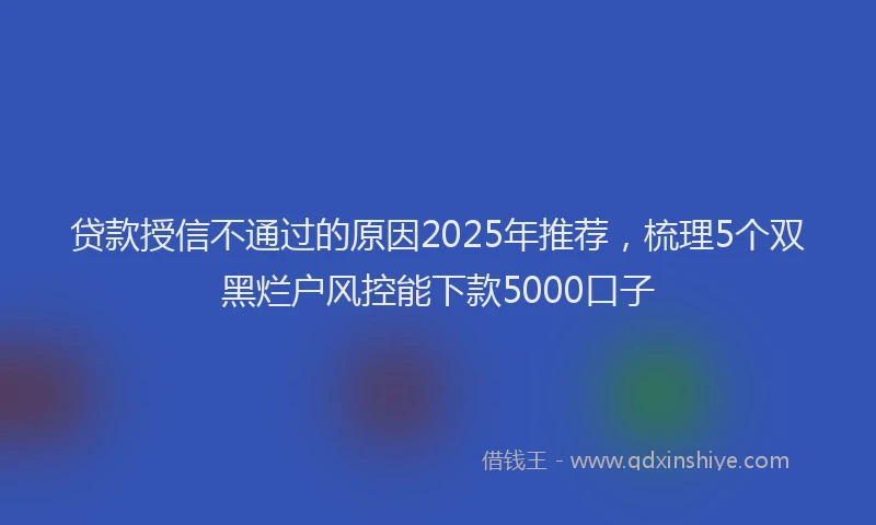 贷款授信不通过的原因2025年推荐，梳理5个双黑烂户风控能下款5000口子