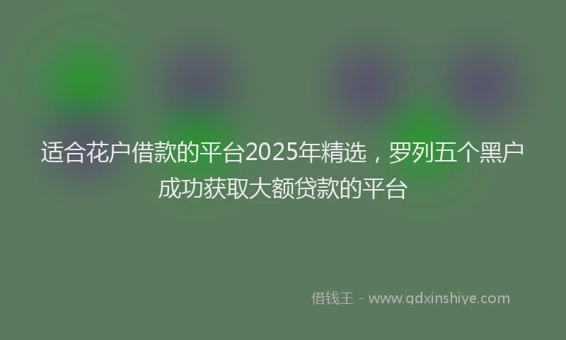 适合花户借款的平台2025年精选，罗列五个黑户成功获取大额贷款的平台