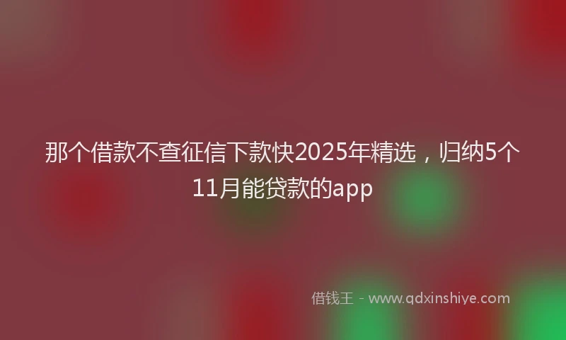 那个借款不查征信下款快2025年精选，归纳5个11月能贷款的app