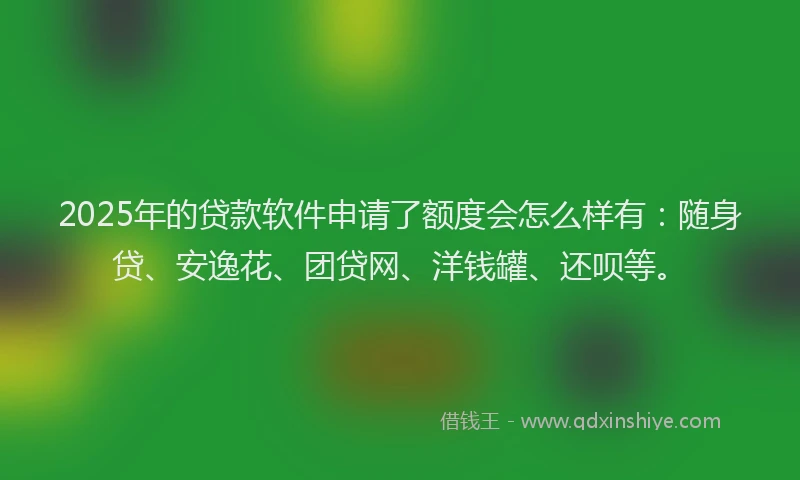 2025年的贷款软件申请了额度会怎么样有：随身贷、安逸花、团贷网、洋钱罐、还呗等。