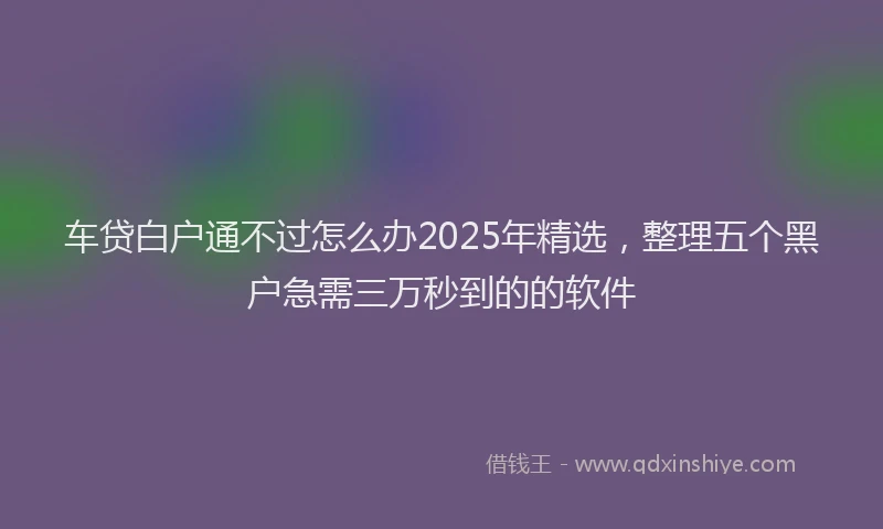 车贷白户通不过怎么办2025年精选，整理五个黑户急需三万秒到的的软件