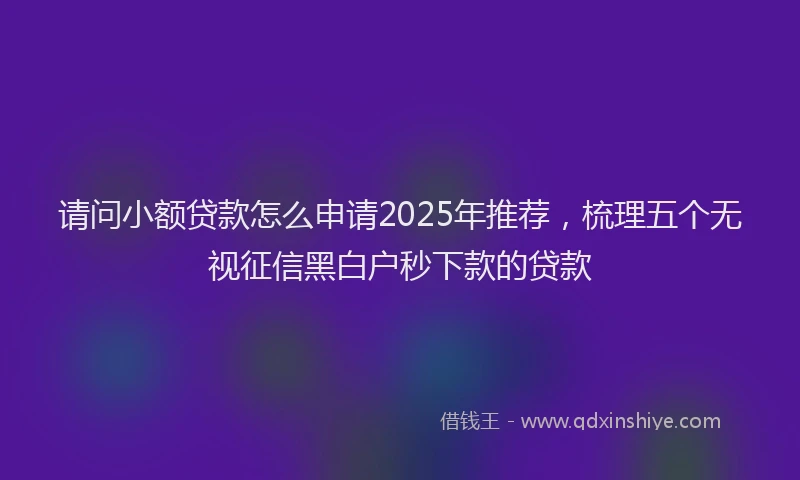 请问小额贷款怎么申请2025年推荐，梳理五个无视征信黑白户秒下款的贷款
