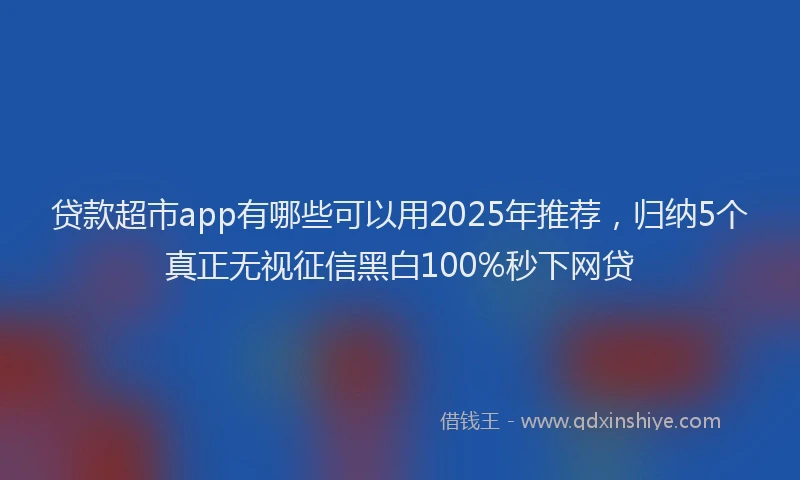 贷款超市app有哪些可以用2025年推荐，归纳5个真正无视征信黑白100%秒下网贷