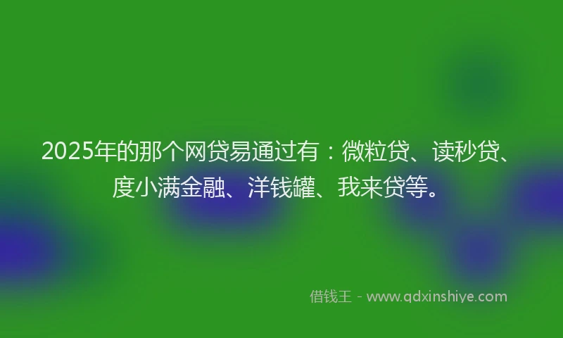 2025年的那个网贷易通过有：微粒贷、读秒贷、度小满金融、洋钱罐、我来贷等。
