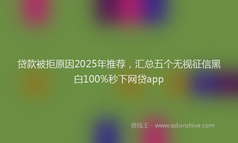 贷款被拒原因2025年推荐，汇总五个无视征信黑白100%秒下网贷app