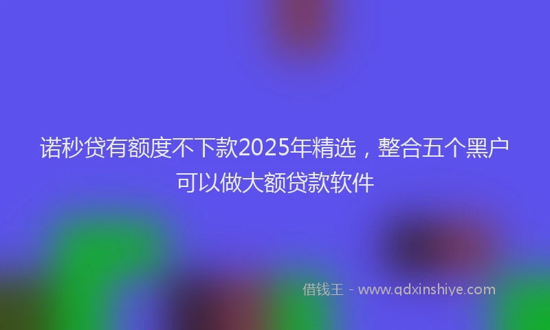 诺秒贷有额度不下款2025年精选，整合五个黑户可以做大额贷款软件