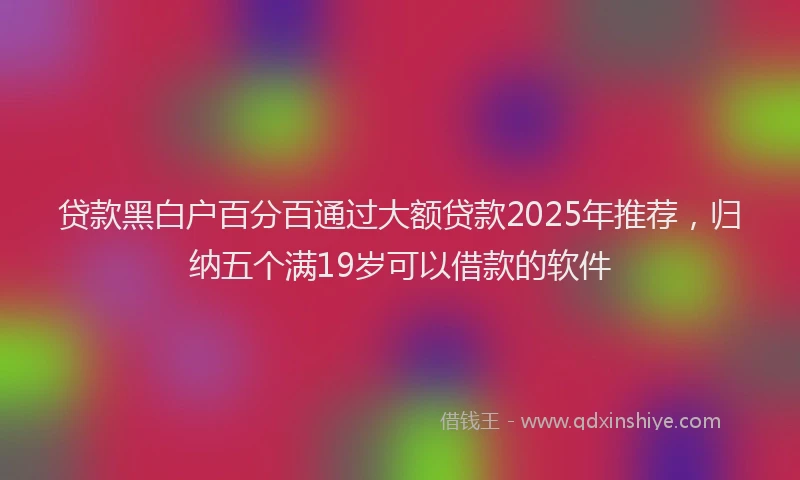 贷款黑白户百分百通过大额贷款2025年推荐，归纳五个满19岁可以借款的软件