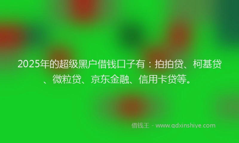 2025年的超级黑户借钱口子有：拍拍贷、柯基贷、微粒贷、京东金融、信用卡贷等。