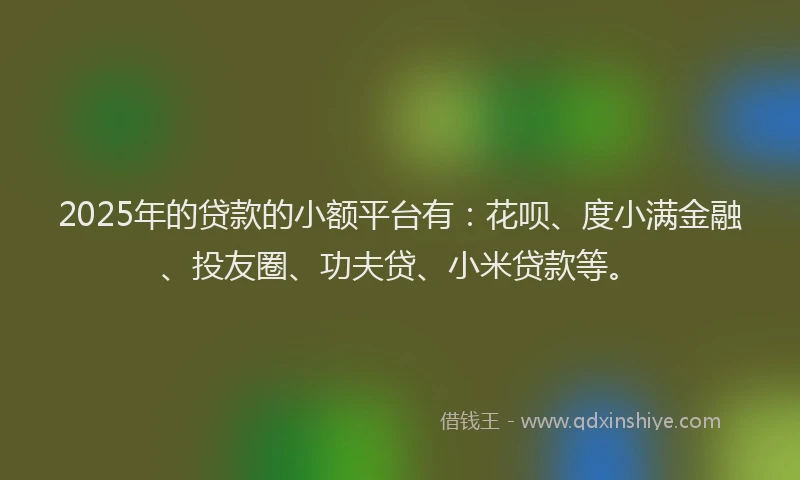 2025年的贷款的小额平台有：花呗、度小满金融、投友圈、功夫贷、小米贷款等。