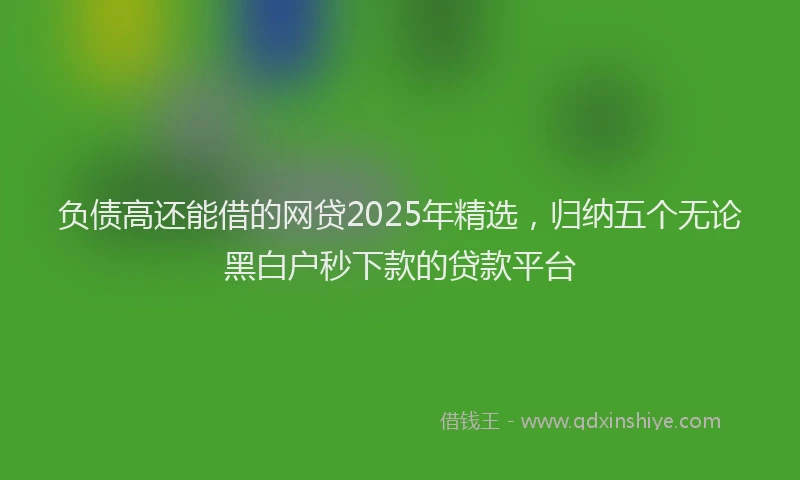 负债高还能借的网贷2025年精选，归纳五个无论黑白户秒下款的贷款平台