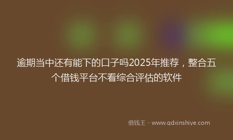 逾期当中还有能下的口子吗2025年推荐，整合五个借钱平台不看综合评估的软件