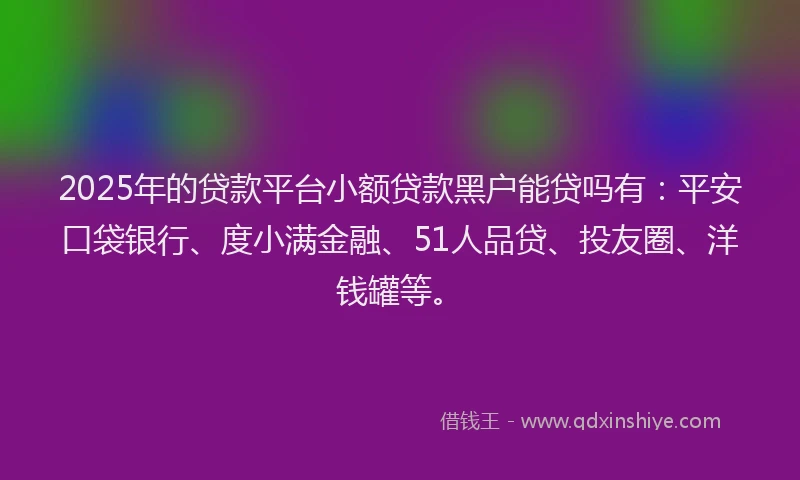 2025年的贷款平台小额贷款黑户能贷吗有：平安口袋银行、度小满金融、51人品贷、投友圈、洋钱罐等。