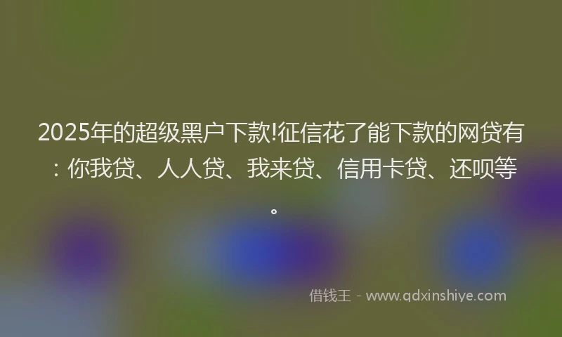2025年的超级黑户下款!征信花了能下款的网贷有：你我贷、人人贷、我来贷、信用卡贷、还呗等。