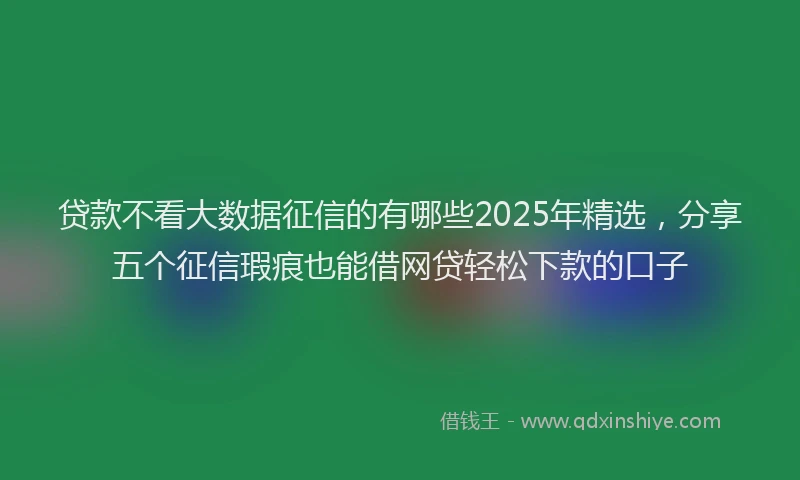 贷款不看大数据征信的有哪些2025年精选，分享五个征信瑕疵也能借网贷轻松下款的口子