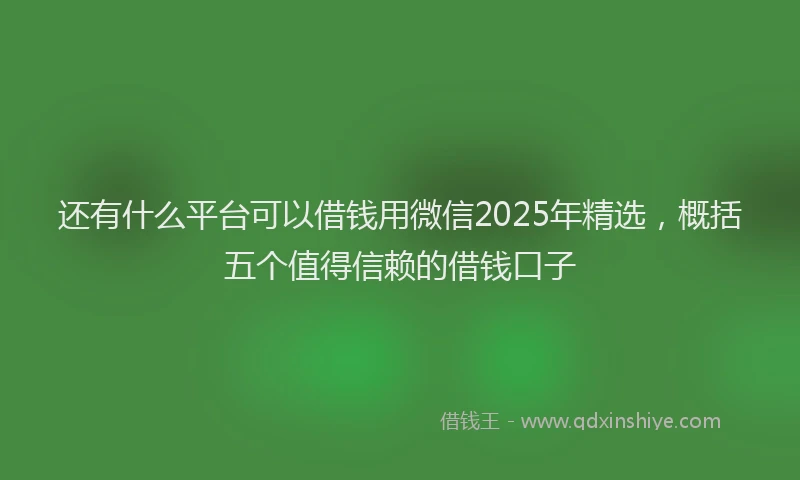 还有什么平台可以借钱用微信2025年精选，概括五个值得信赖的借钱口子