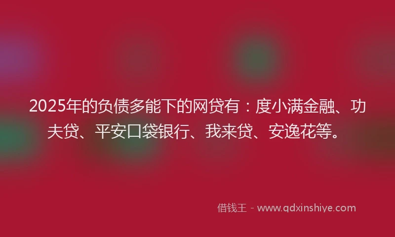2025年的负债多能下的网贷有：度小满金融、功夫贷、平安口袋银行、我来贷、安逸花等。