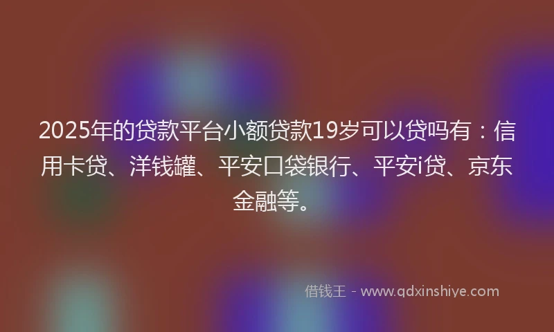 2025年的贷款平台小额贷款19岁可以贷吗有：信用卡贷、洋钱罐、平安口袋银行、平安i贷、京东金融等。
