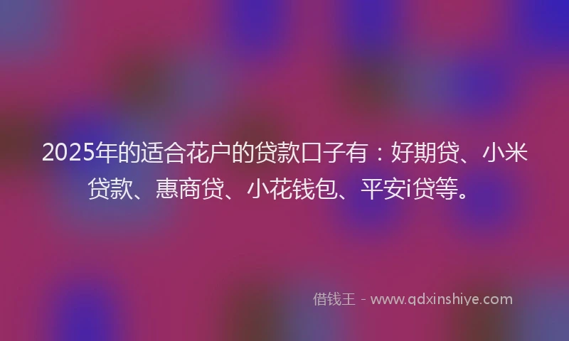 2025年的适合花户的贷款口子有：好期贷、小米贷款、惠商贷、小花钱包、平安i贷等。