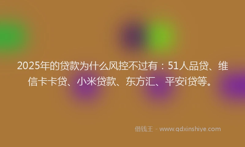 2025年的贷款为什么风控不过有：51人品贷、维信卡卡贷、小米贷款、东方汇、平安i贷等。