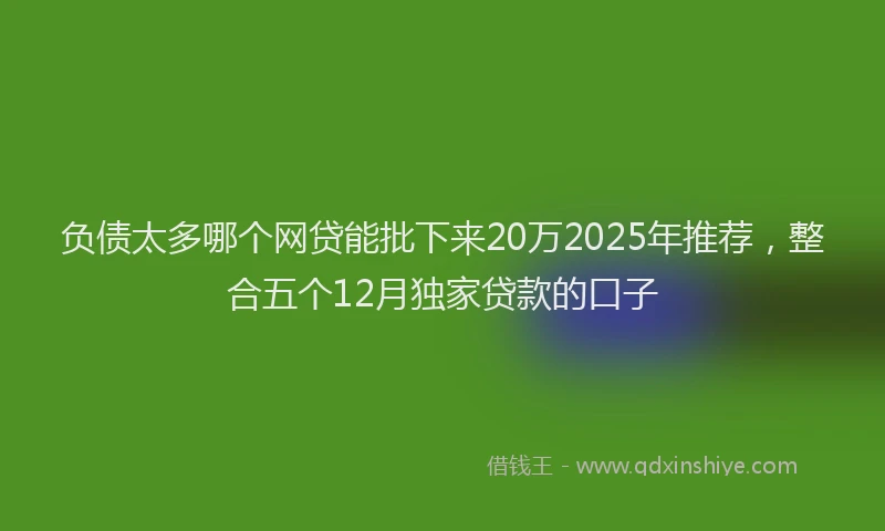 负债太多哪个网贷能批下来20万2025年推荐，整合五个12月独家贷款的口子