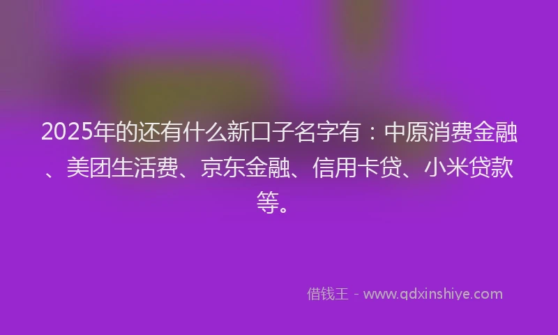 2025年的还有什么新口子名字有：中原消费金融、美团生活费、京东金融、信用卡贷、小米贷款等。