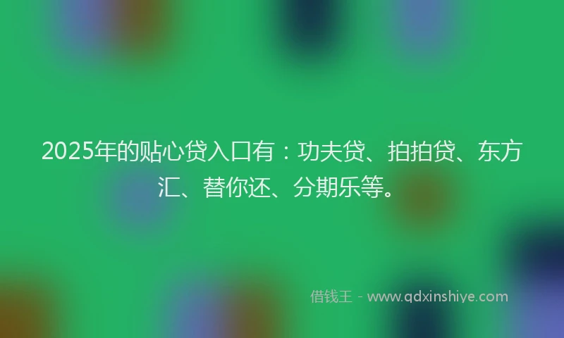 2025年的贴心贷入口有：功夫贷、拍拍贷、东方汇、替你还、分期乐等。