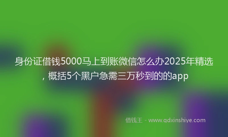 身份证借钱5000马上到账微信怎么办2025年精选，概括5个黑户急需三万秒到的的app