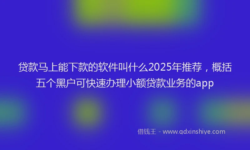 贷款马上能下款的软件叫什么2025年推荐，概括五个黑户可快速办理小额贷款业务的app
