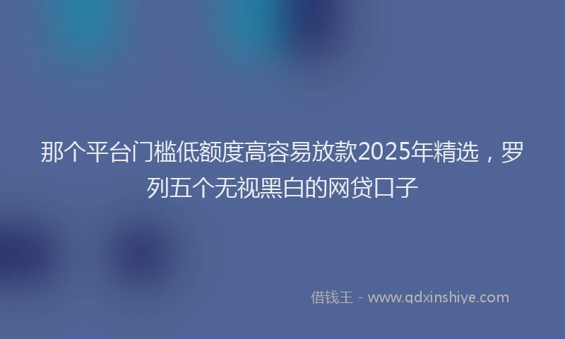 那个平台门槛低额度高容易放款2025年精选，罗列五个无视黑白的网贷口子