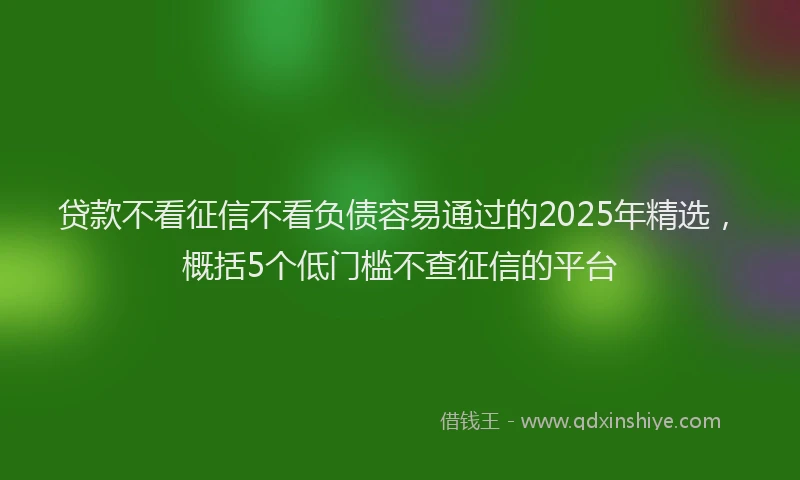 贷款不看征信不看负债容易通过的2025年精选，概括5个低门槛不查征信的平台