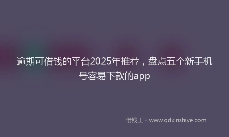 逾期可借钱的平台2025年推荐，盘点五个新手机号容易下款的app