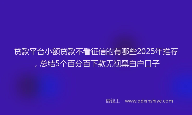 贷款平台小额贷款不看征信的有哪些2025年推荐，总结5个百分百下款无视黑白户口子