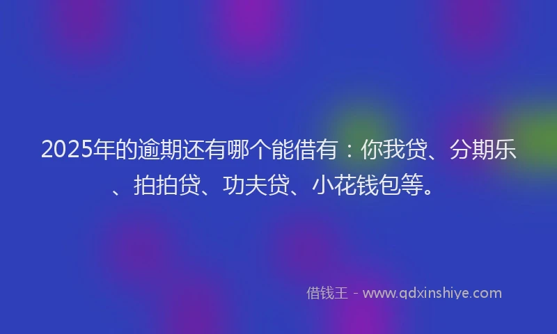 2025年的逾期还有哪个能借有：你我贷、分期乐、拍拍贷、功夫贷、小花钱包等。