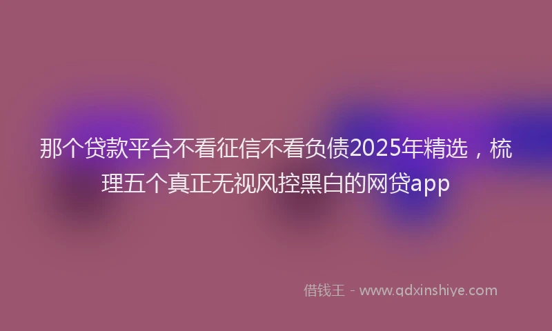 那个贷款平台不看征信不看负债2025年精选，梳理五个真正无视风控黑白的网贷app