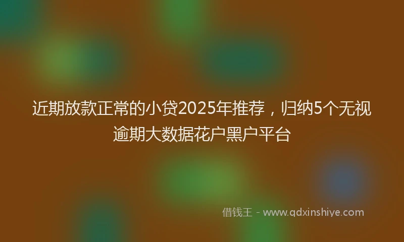 近期放款正常的小贷2025年推荐，归纳5个无视逾期大数据花户黑户平台