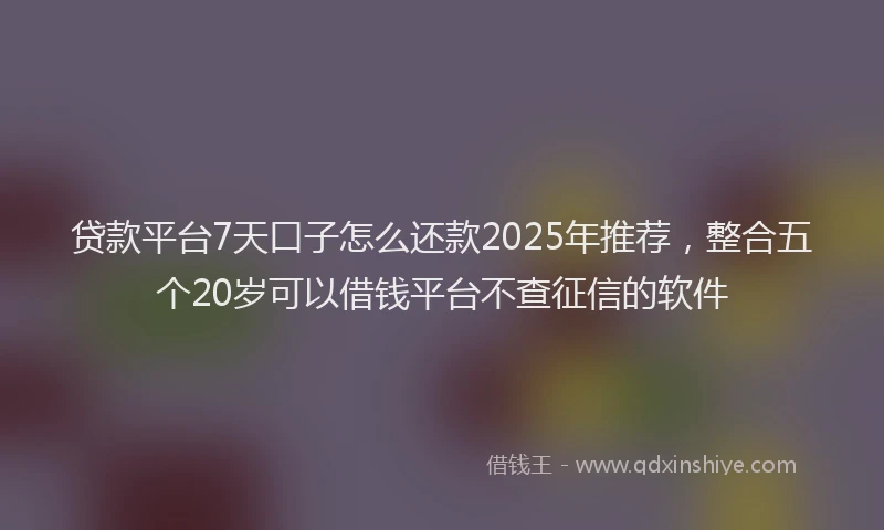 贷款平台7天口子怎么还款2025年推荐，整合五个20岁可以借钱平台不查征信的软件