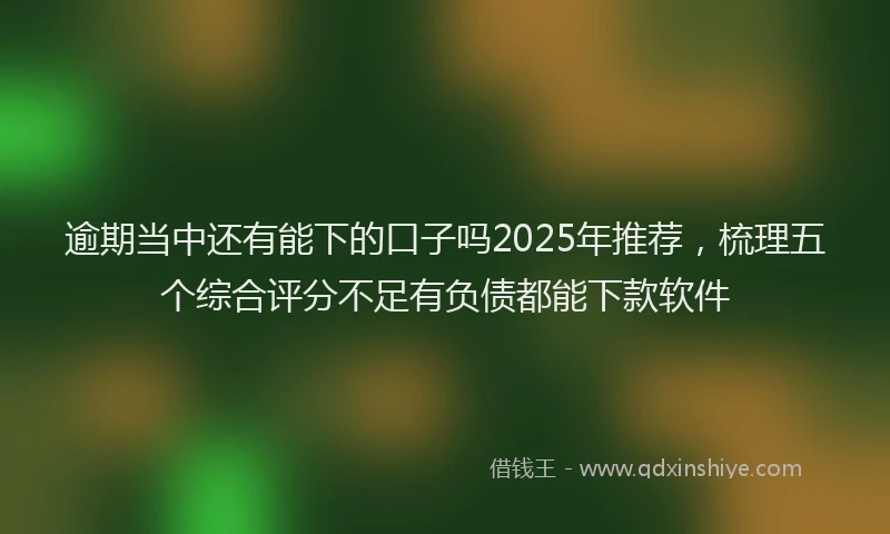 逾期当中还有能下的口子吗2025年推荐，梳理五个综合评分不足有负债都能下款软件