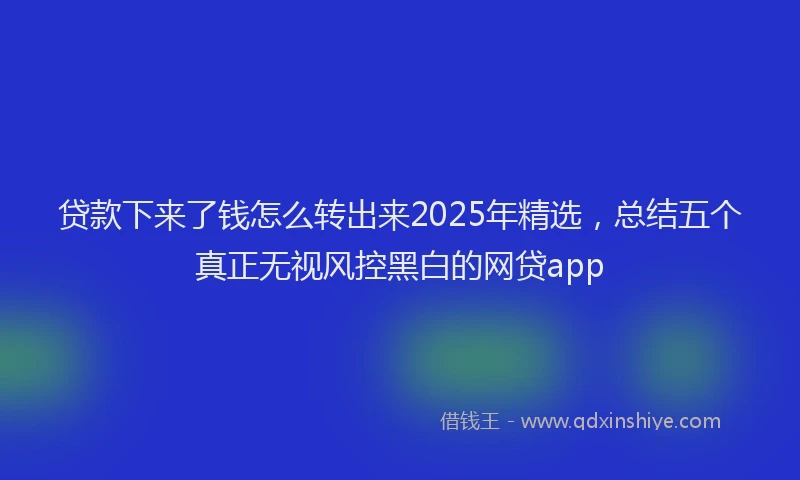 贷款下来了钱怎么转出来2025年精选，总结五个真正无视风控黑白的网贷app