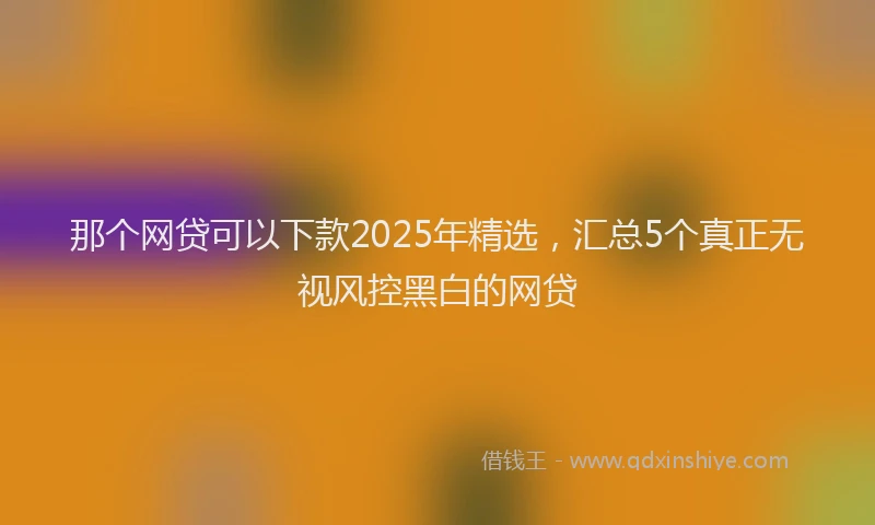 那个网贷可以下款2025年精选，汇总5个真正无视风控黑白的网贷