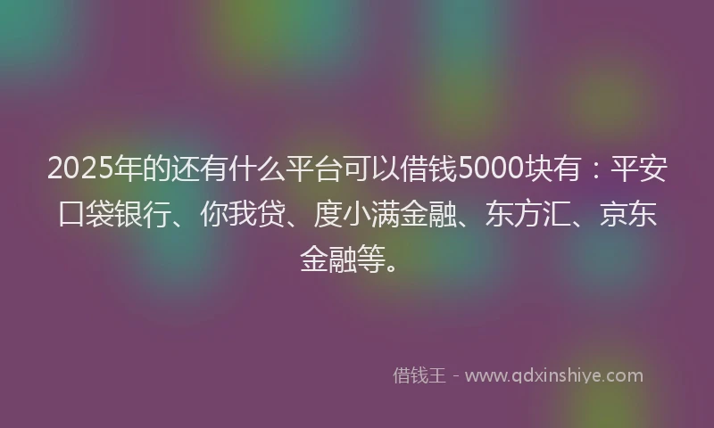 2025年的还有什么平台可以借钱5000块有：平安口袋银行、你我贷、度小满金融、东方汇、京东金融等。